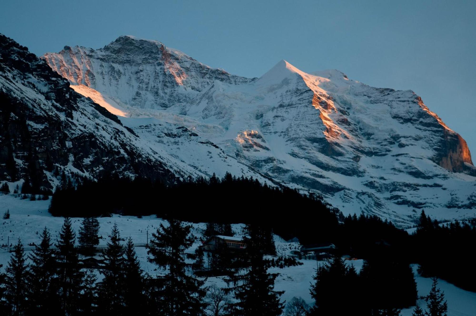Hotel Edelweiss Wengen Dış mekan fotoğraf