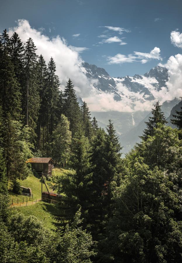 Hotel Edelweiss Wengen Dış mekan fotoğraf